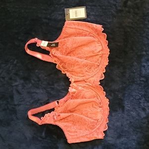 40DD Bra